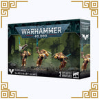 Blood Angels: Sanguinary Guard