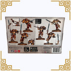 Blood Angels: Sanguinary Guard