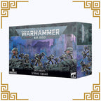Grey Knights: Strike / Purifier / Purgation Squad