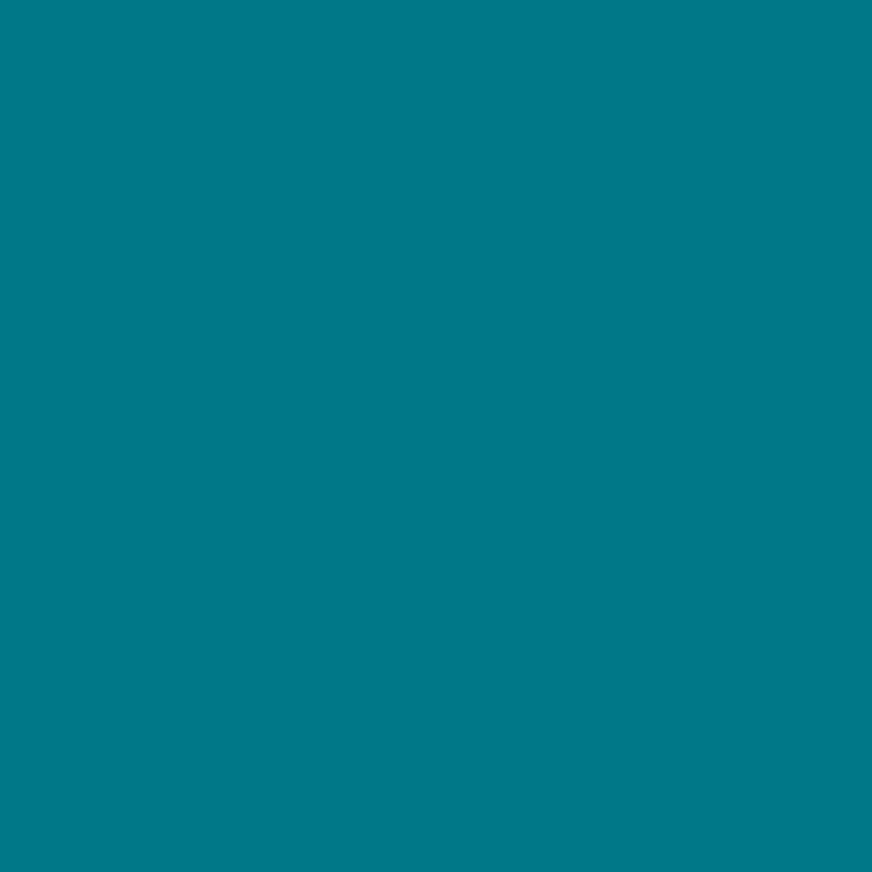 Model Colour: Blue Green