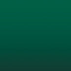 Xpress Colour: Snake Green